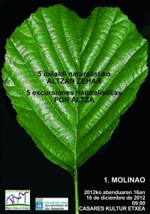 molinaoko-foiletoa