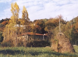 Ubegi baserria, 2002. urtean