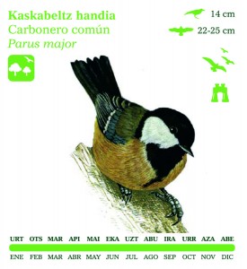 kaskabeltza