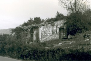 c100601