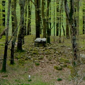 txoritokieta