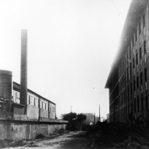 toschi-2