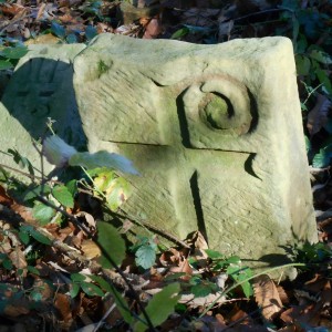 dscn1096b