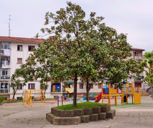 p1077525
