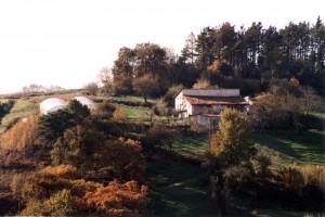 Antondegi baserria, 2001. urtea