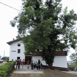 20110610-024-paseo-por-antondegi-altza-55-caserio-lizarrategi-altza-grupo