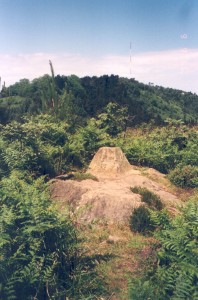 2002. urtea