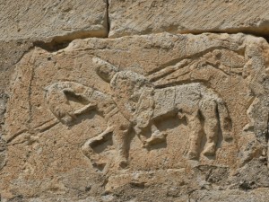 p1030063